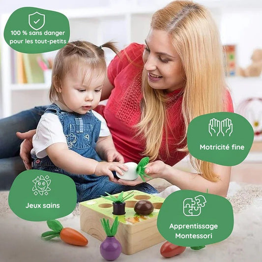 Ensemble de légumes Montessori