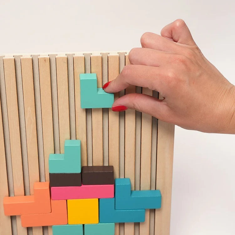 Blocs cérébraux Montessori