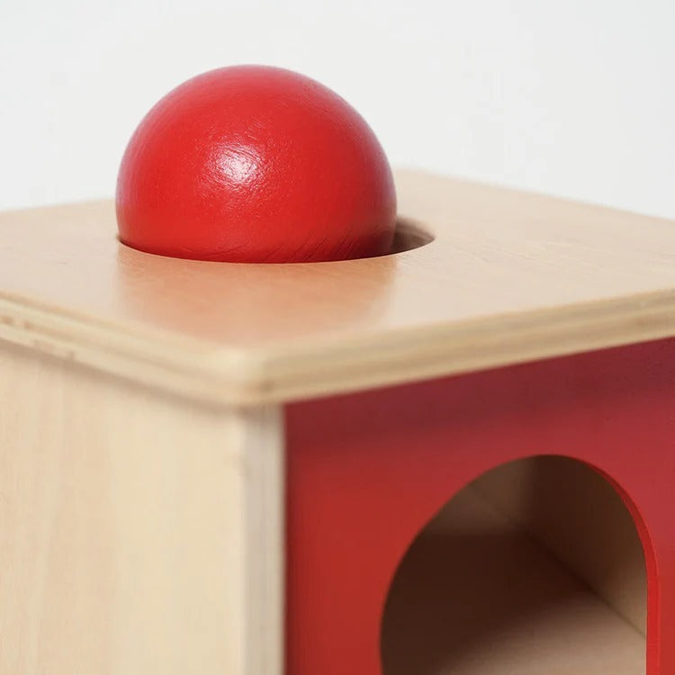 Boîte Montessori sur la permanence des objets
