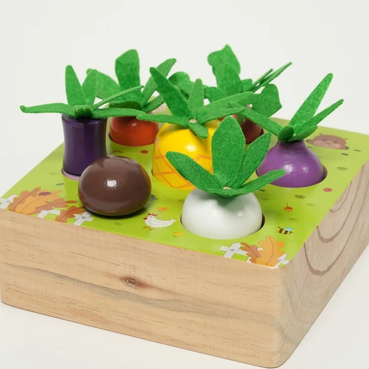 Ensemble de légumes Montessori