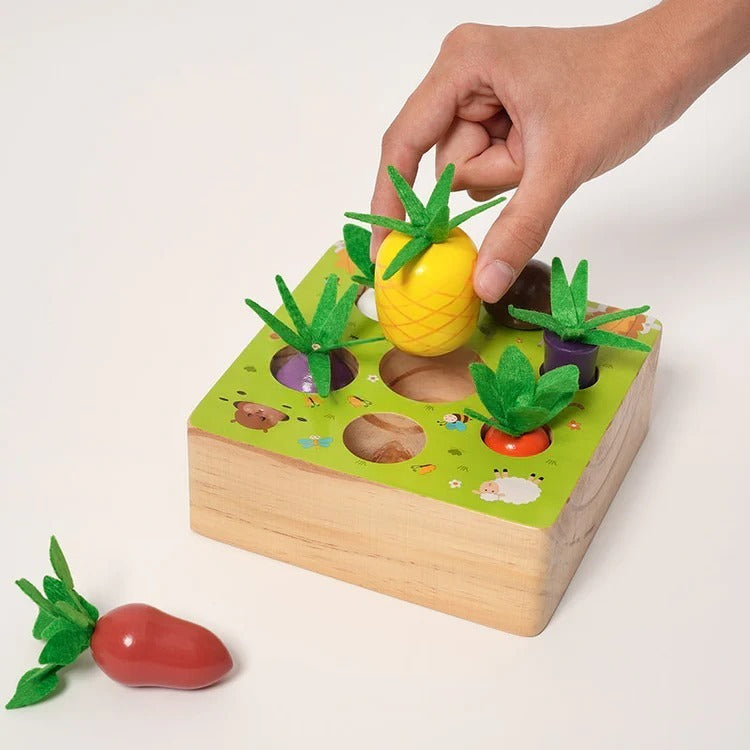 Ensemble de légumes Montessori