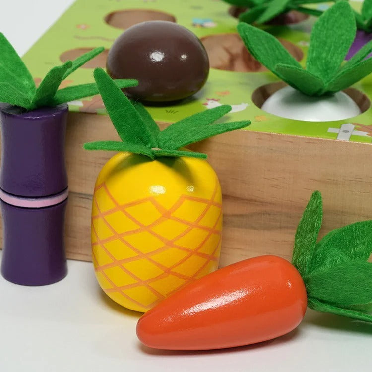Ensemble de légumes Montessori