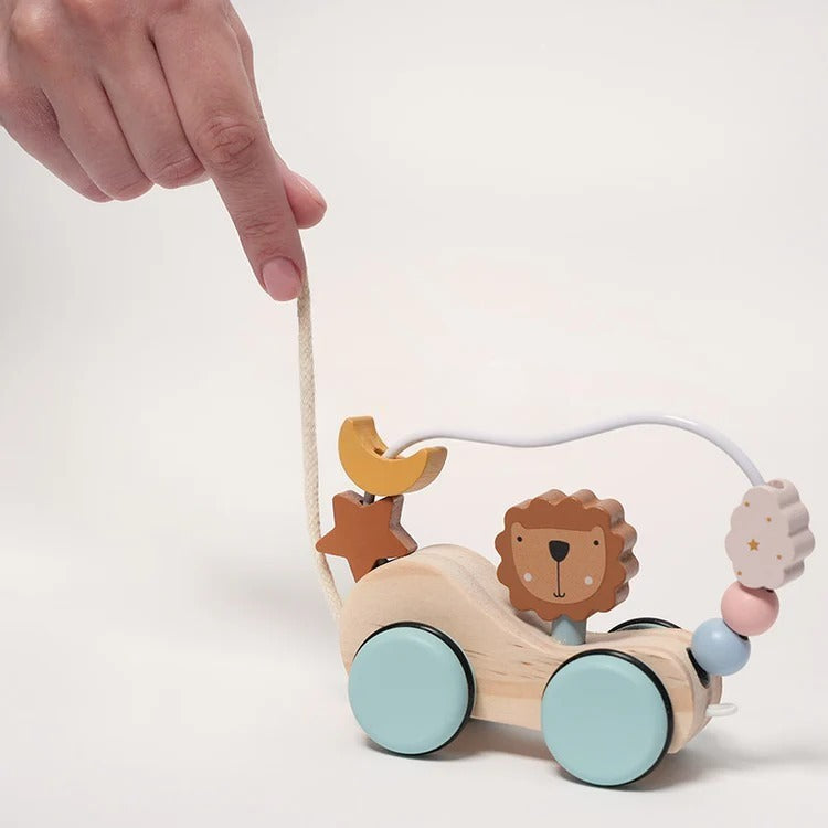 Roller Lion Montessori