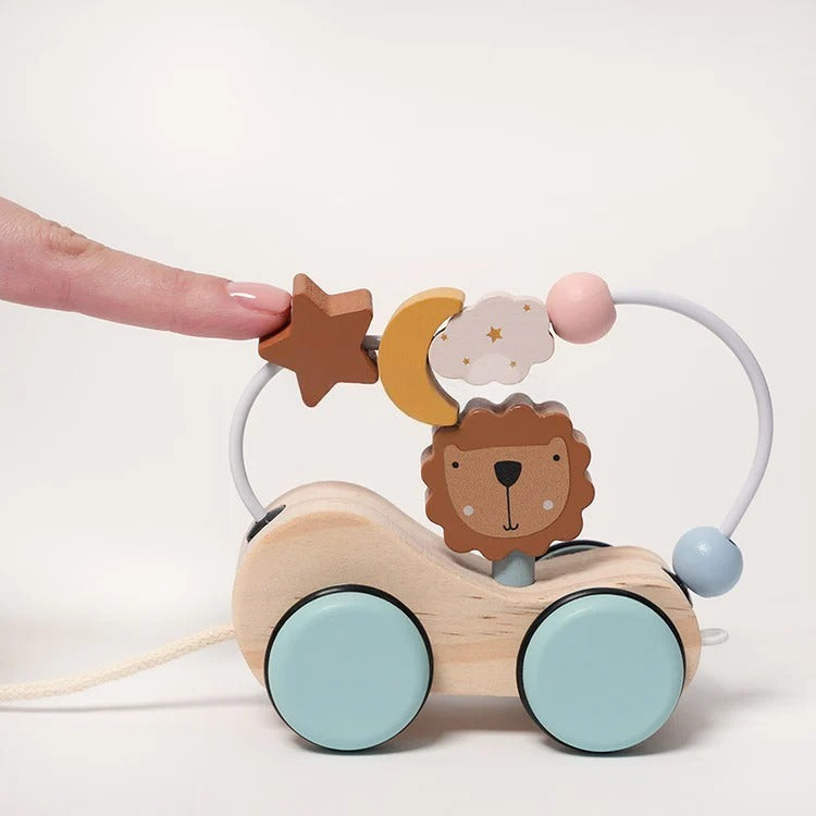 Roller Lion Montessori