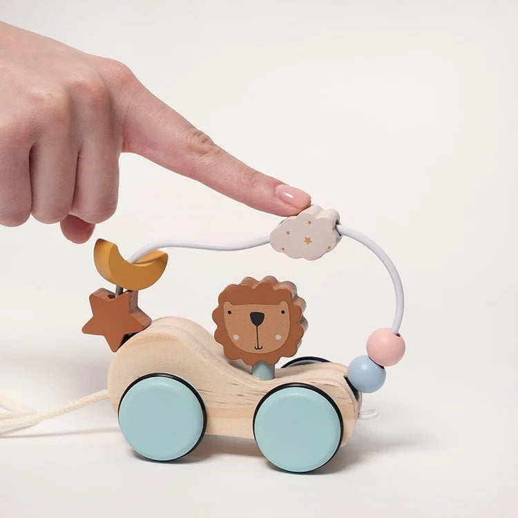 Roller Lion Montessori