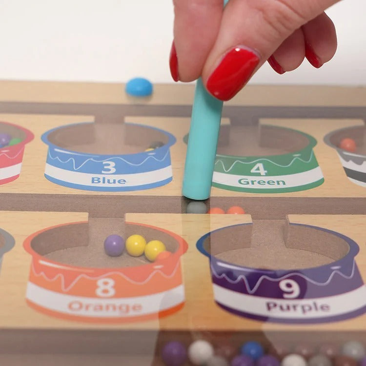 Puzzle Magnétique Montessori de Tri des Couleurs