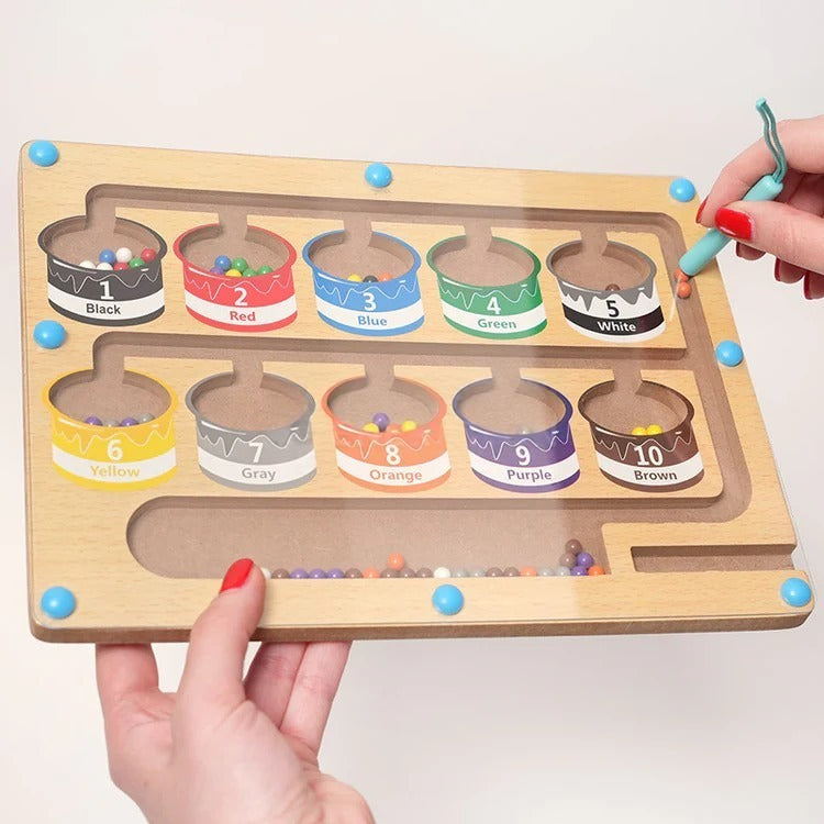 Puzzle Magnétique Montessori de Tri des Couleurs