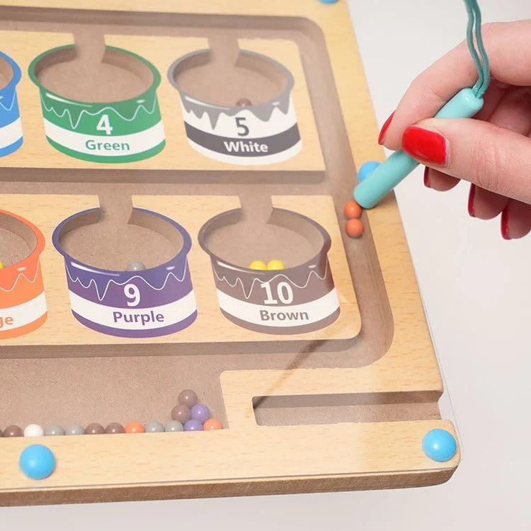 Puzzle Magnétique Montessori de Tri des Couleurs