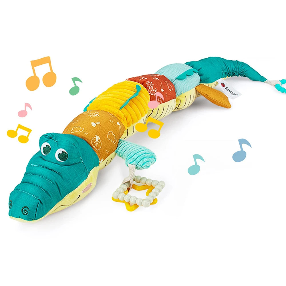 Animal Musicale Montessori