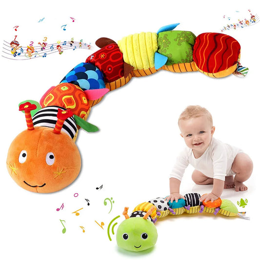 Animal Musicale Montessori