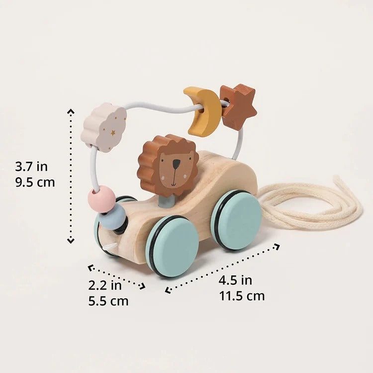 Roller Lion Montessori