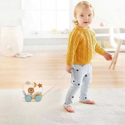 Roller Lion Montessori