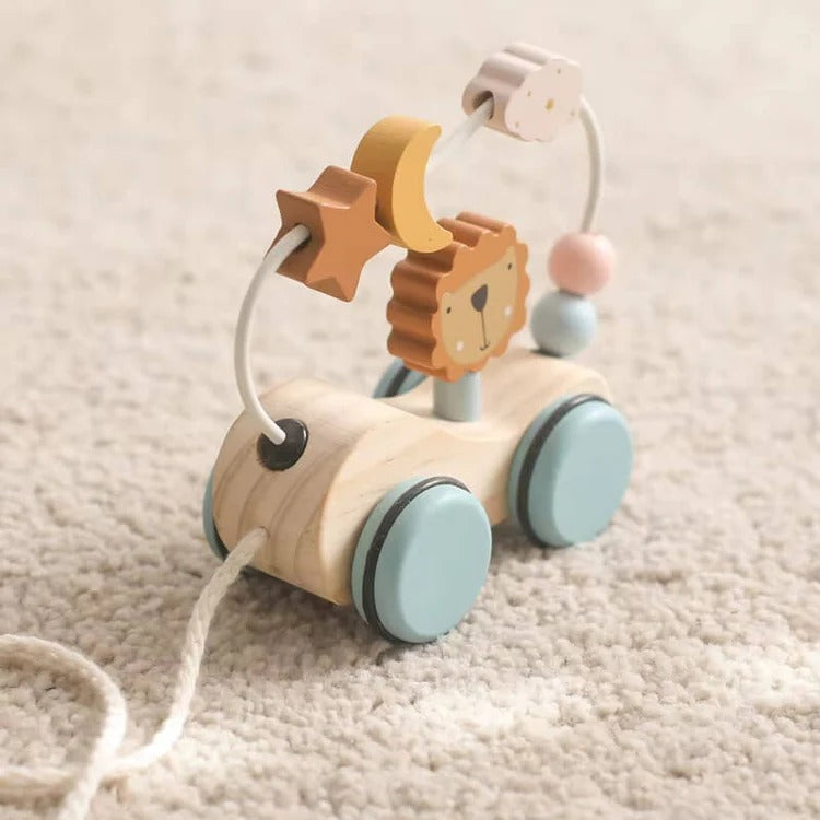 Roller Lion Montessori
