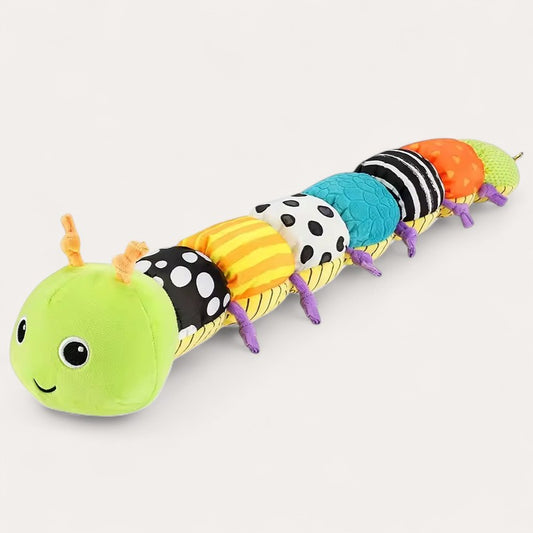 Animal Musicale Montessori