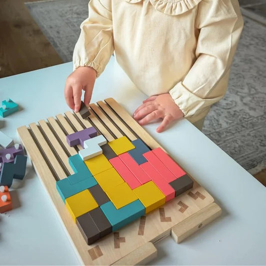 Blocs cérébraux Montessori
