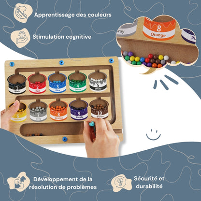 Puzzle Magnétique Montessori de Tri des Couleurs