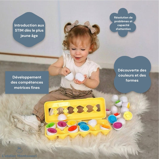 Œufs géométriques Montessori