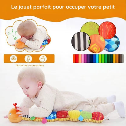 Animal Musicale Montessori