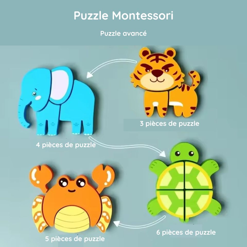 Puzzles Montessori en Bois