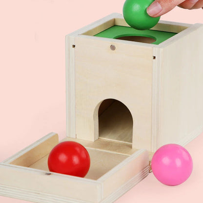 Boîte Montessori à Formes et Couleurs avec Balles