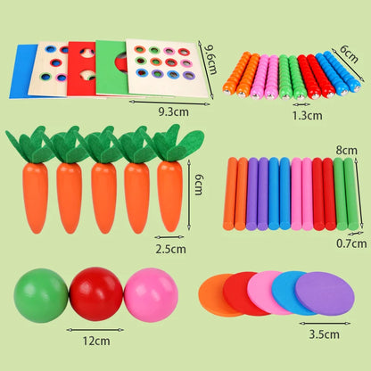 Boîte Montessori à Formes et Couleurs avec Balles