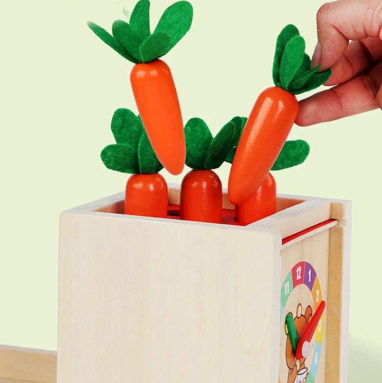 Boîte Montessori à Formes et Couleurs avec Balles