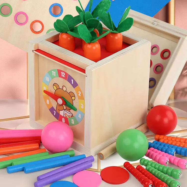 Boîte Montessori à Formes et Couleurs avec Balles