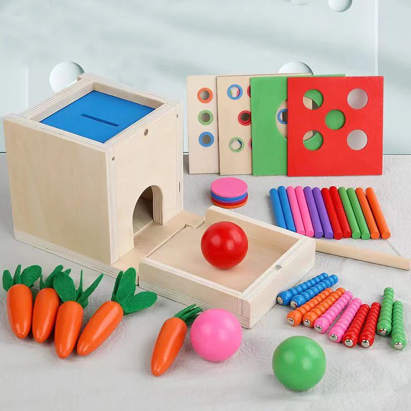 Boîte Montessori à Formes et Couleurs avec Balles