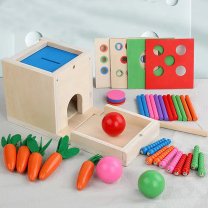 Boîte Montessori à Formes et Couleurs avec Balles