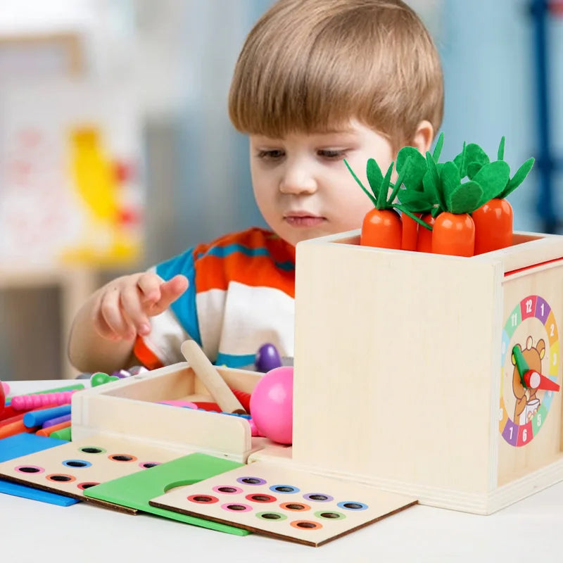 Boîte Montessori à Formes et Couleurs avec Balles