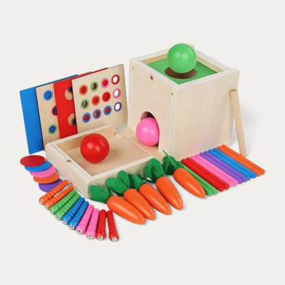 Boîte Montessori à Formes et Couleurs avec Balles