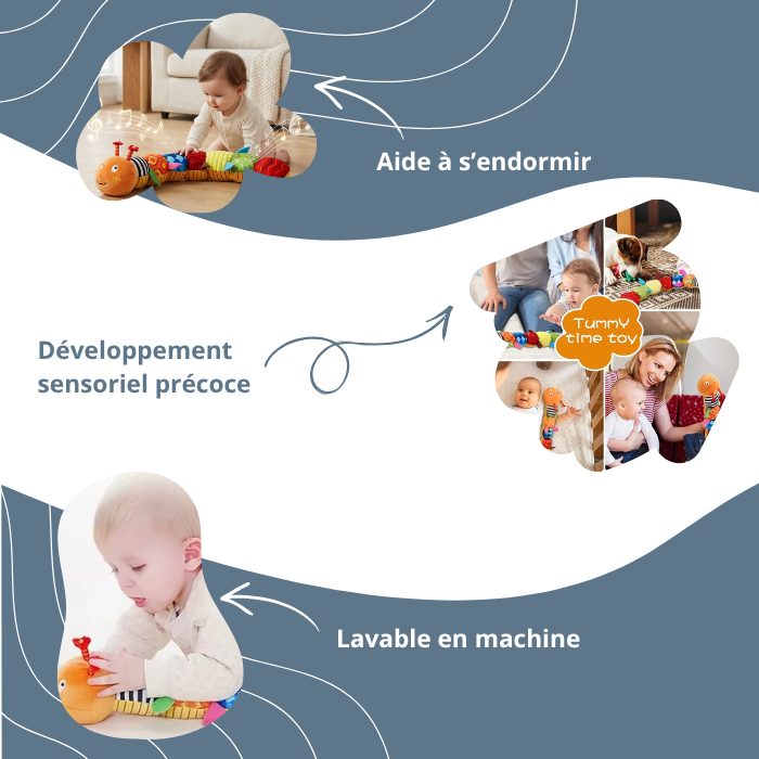 Animal Musical Montessori