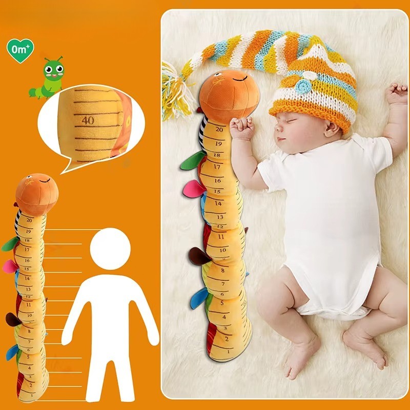 Animal Musicale Montessori