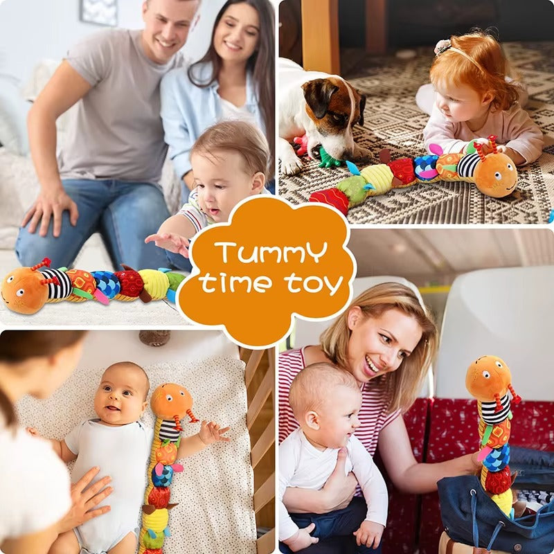 Animal Musicale Montessori