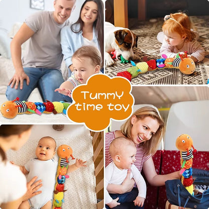 Animal Musicale Montessori